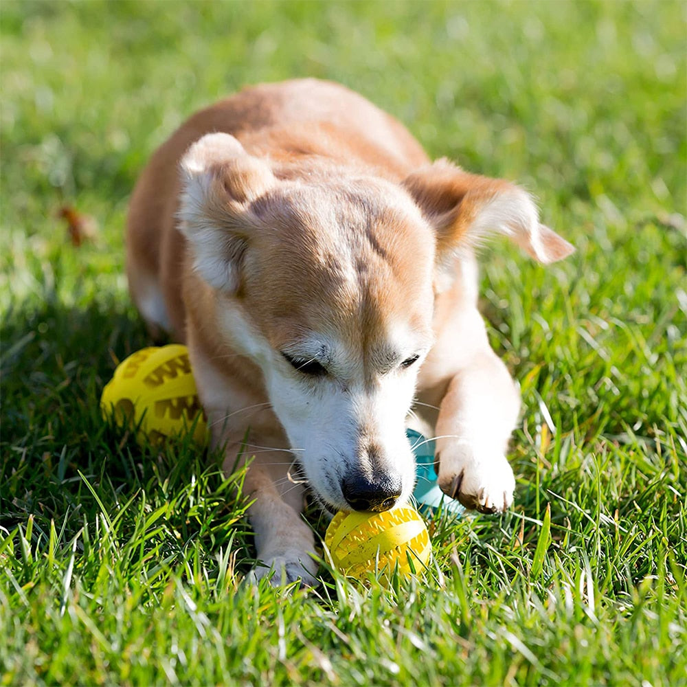 Tooth Cleaning Snack Ball Toy for Pet Products