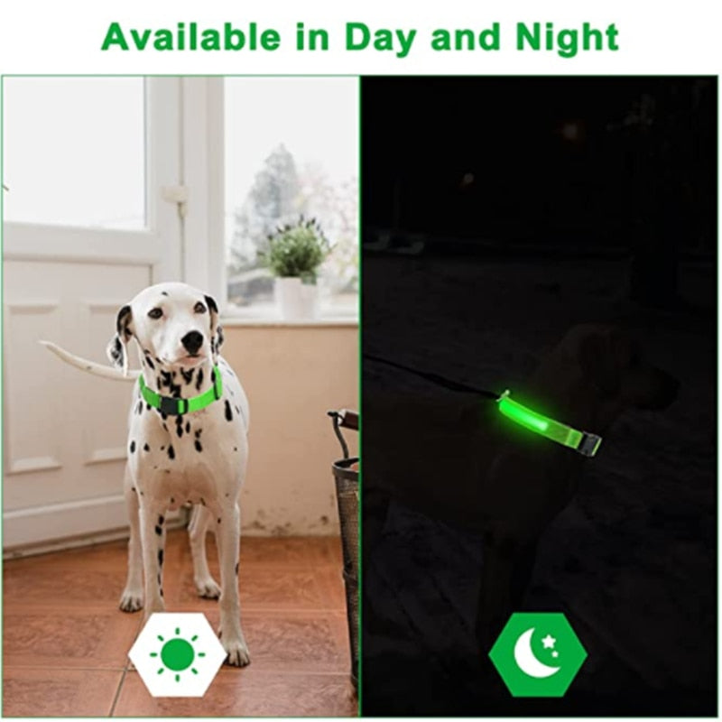 LED Glowing Dog Collar Adjustable Flashing Rechargeable