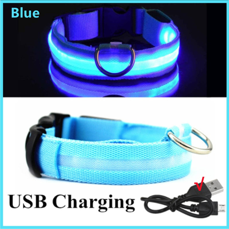 LED Glowing Dog Collar Adjustable Flashing Rechargeable