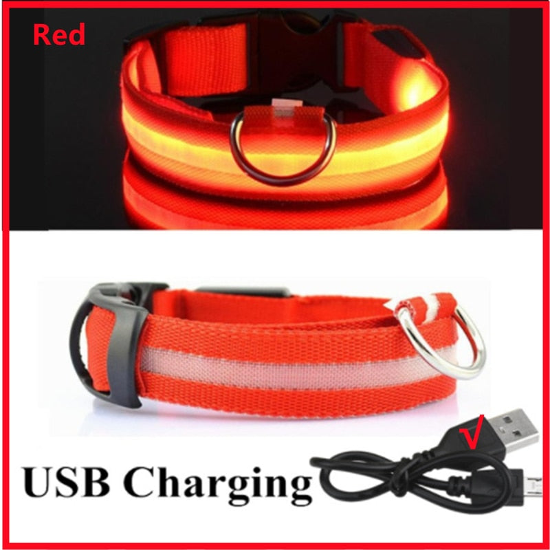 LED Glowing Dog Collar Adjustable Flashing Rechargeable