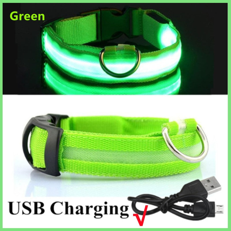 LED Glowing Dog Collar Adjustable Flashing Rechargeable