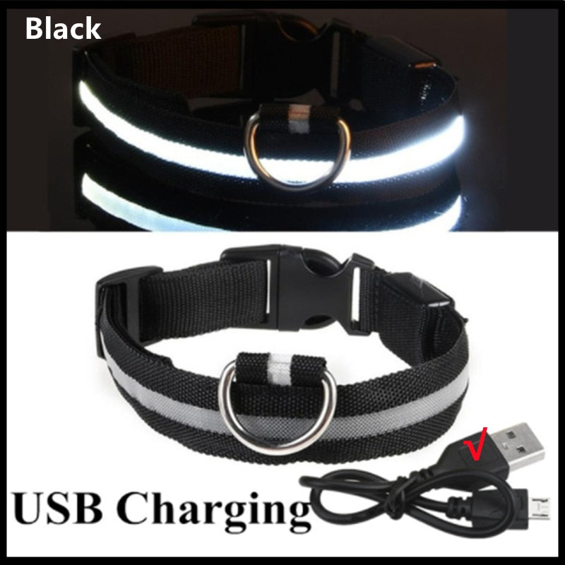 LED Glowing Dog Collar Adjustable Flashing Rechargeable