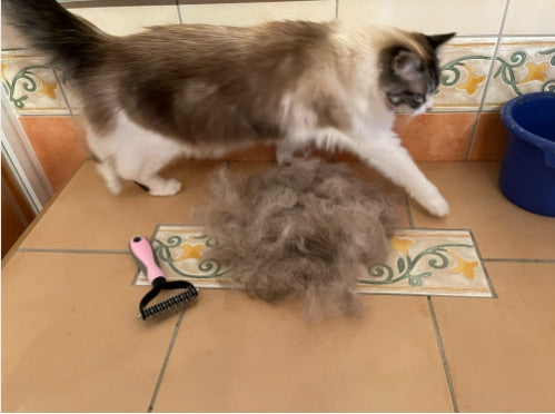 Cat Hair Removal Comb Brush Double Sided