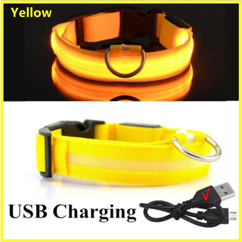 LED Glowing Dog Collar Adjustable Flashing Rechargeable
