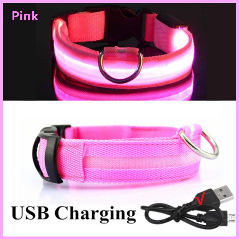 LED Glowing Dog Collar Adjustable Flashing Rechargeable
